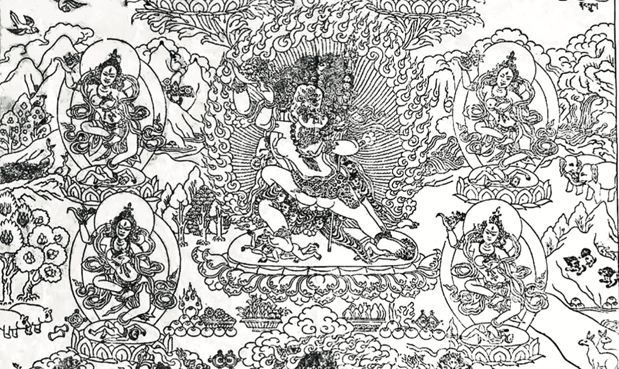 Ormonda yalangoch semiz video Yosh qiz bilan katta qora xorozning porno videolari